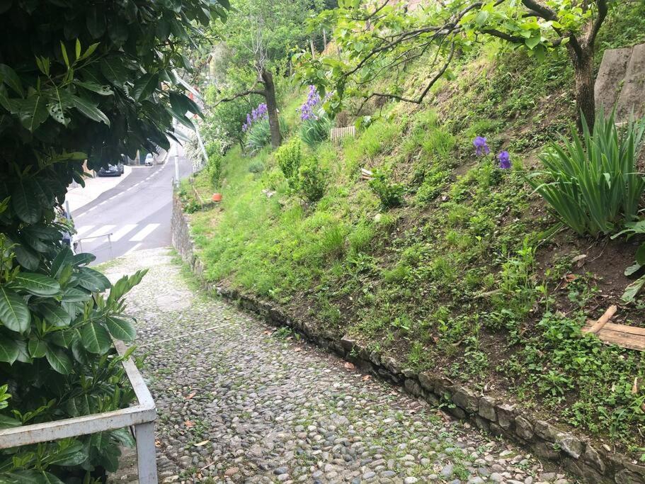 Oria  Casa Orchidea 아파트 외부 사진